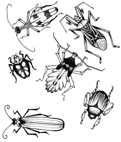 426x500 Bugs Bunny Easy Drawing For Kinds How To Draw Bugs Bunny Youtube