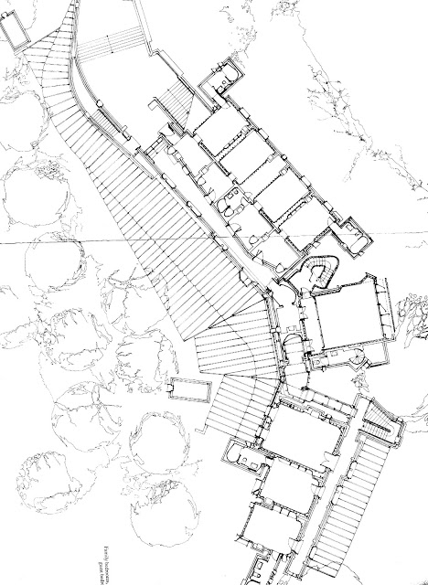 468x640 Review Condemned Building By Douglas Darden Sorbus Aucuparius