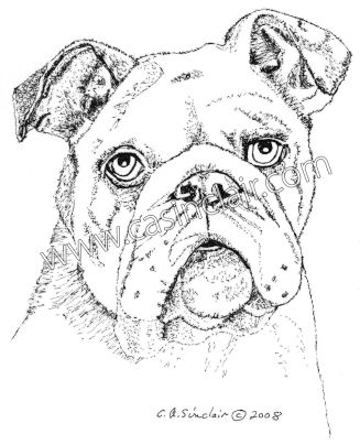 327x404 English Bulldog Dog Portraits, Dog Paintings, Dog Drawings