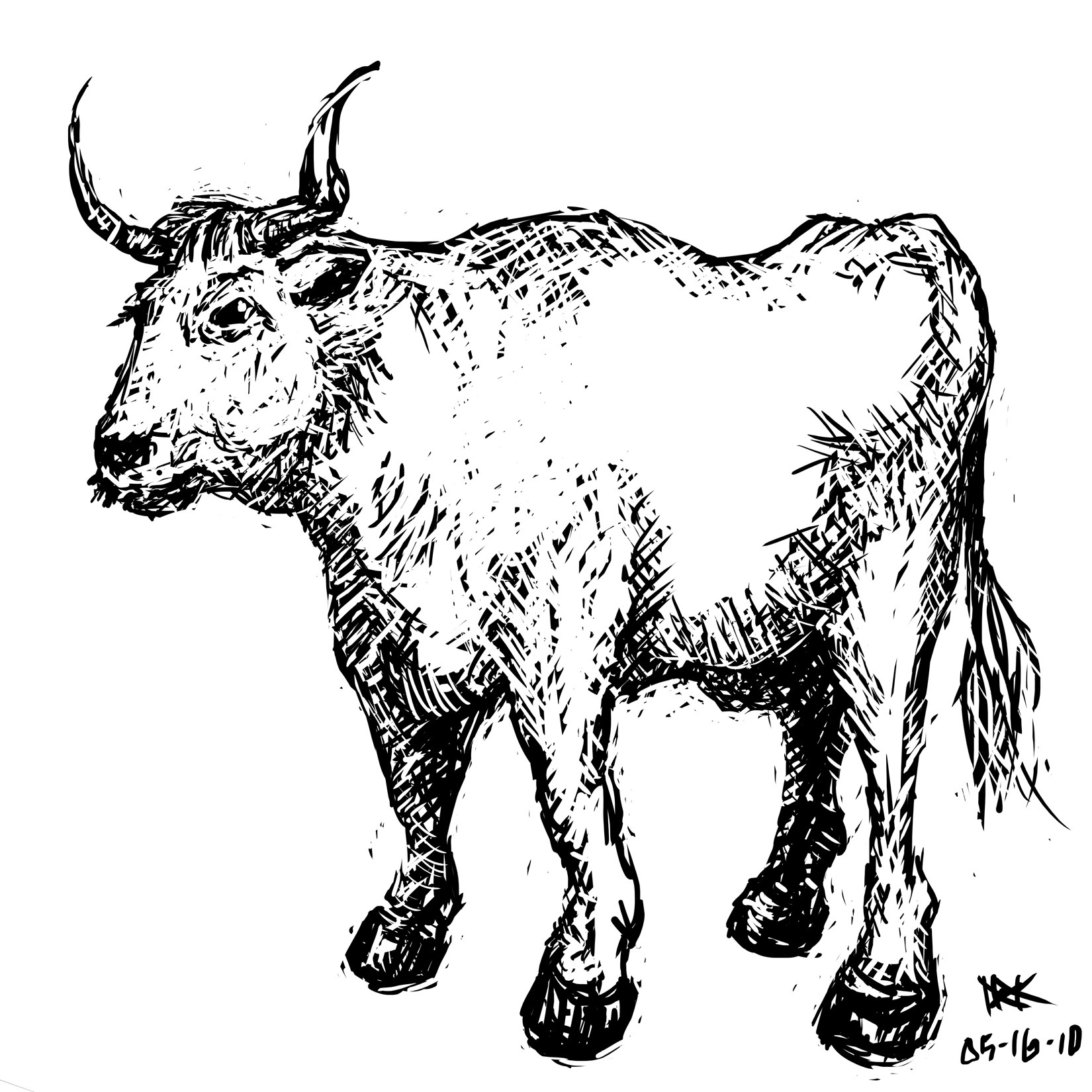 1650x1650 Bull 10,000 Bad Drawings