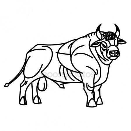 450x450 Drawing Of Standing Bull Stock Vector Annasuchkova