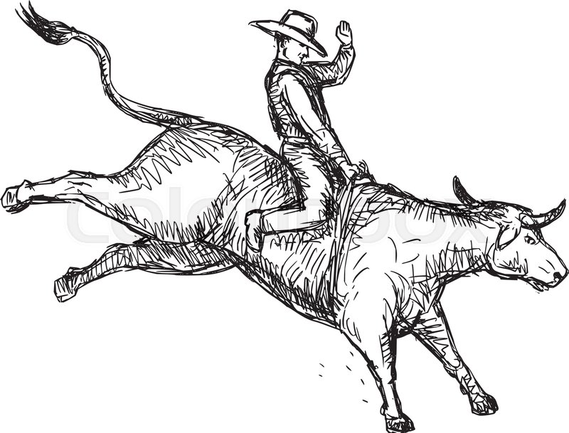 800x609 Drawing Sketch Style Illustration Of Rodeo Cowboy Riding