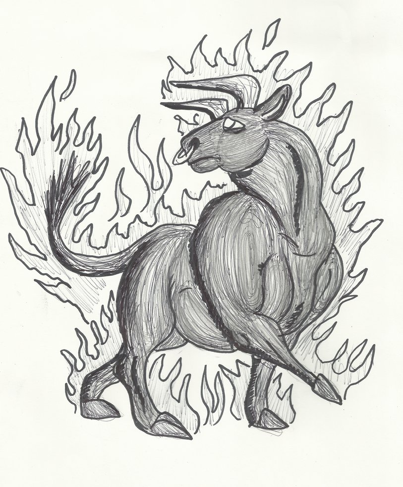 813x982 Flame Bull Sketch