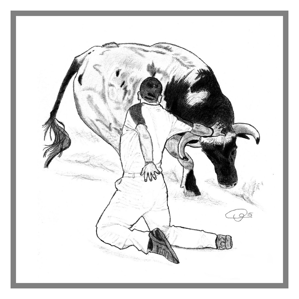 1024x1024 The World's Best Photos Of Bull And Drawing