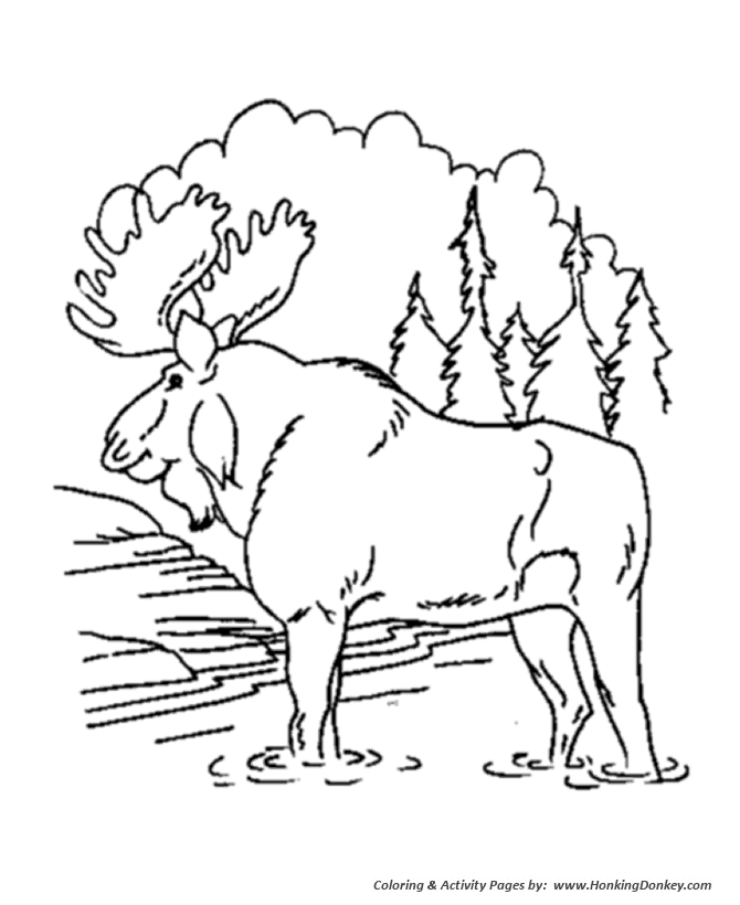 670x820 Bull Moose Animal Coloring Pages Moose Coloring Page Honkingdonkey