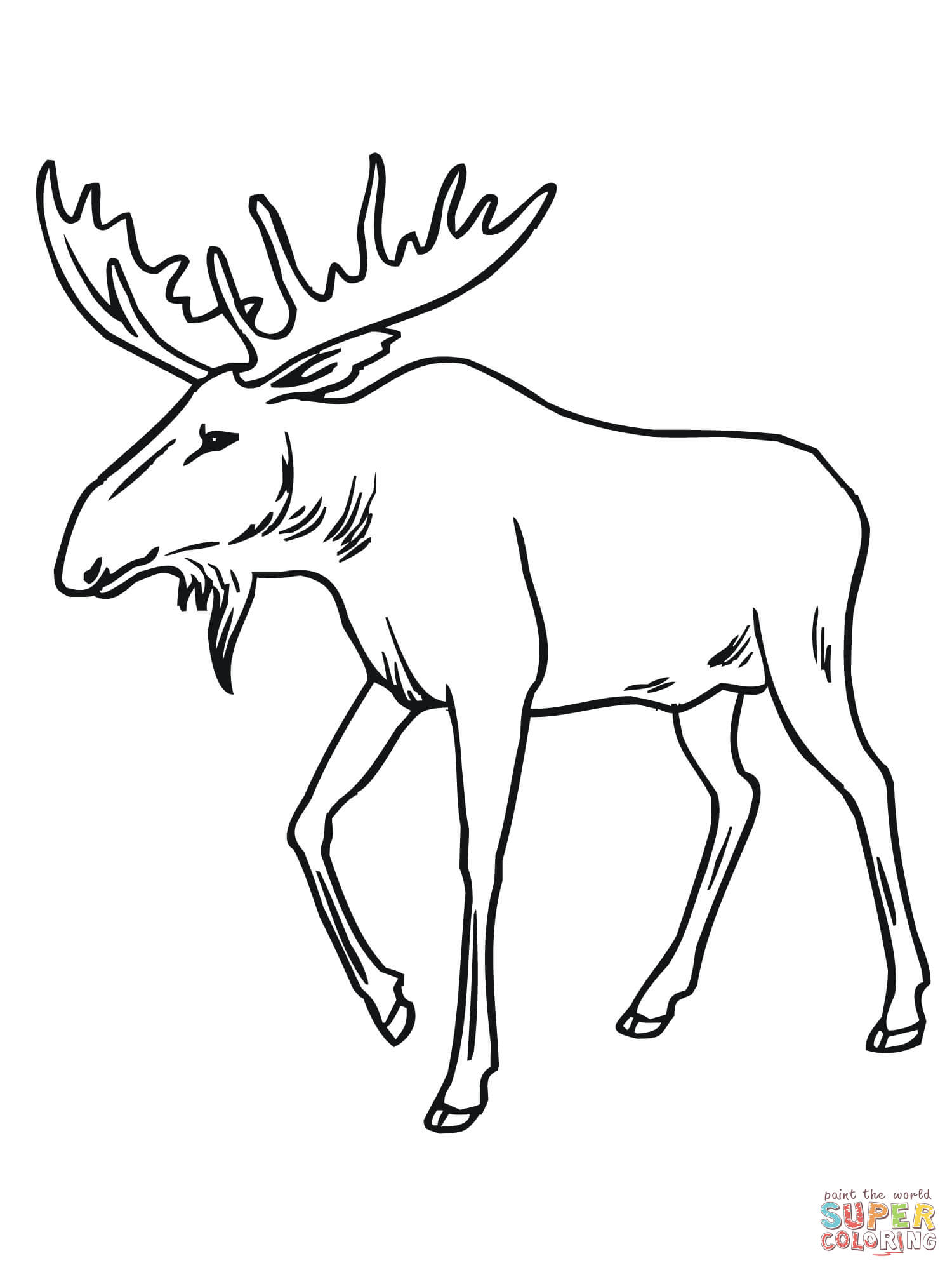1500x2000 Coloring Pages Mesmerizing Moose Coloring Pages For Kids 40