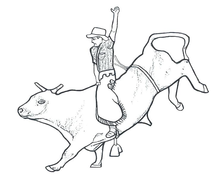 736x590 Bull Coloring Page