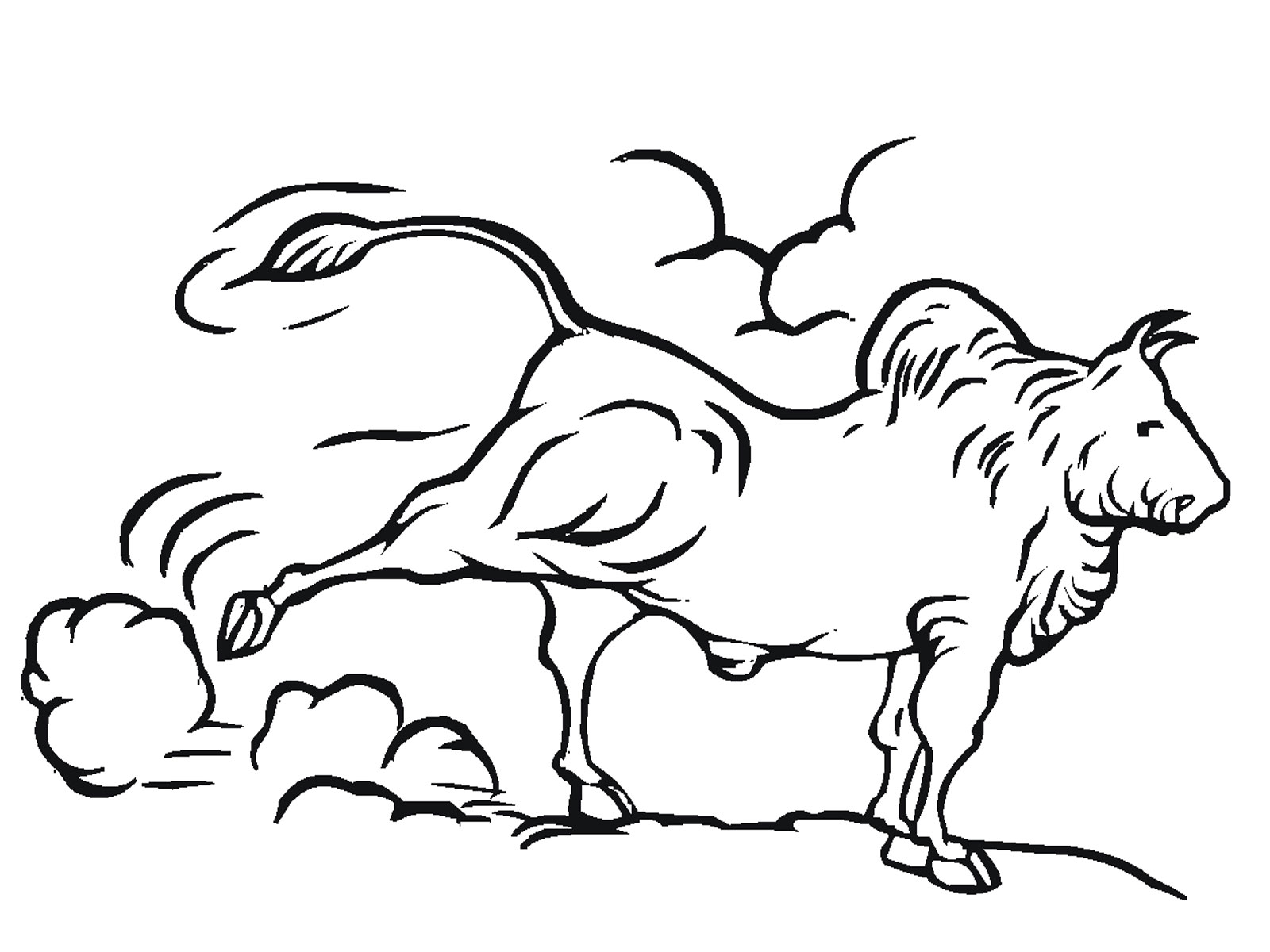 1600x1200 Bull Coloring Pages Printable Realistic Coloring Pages