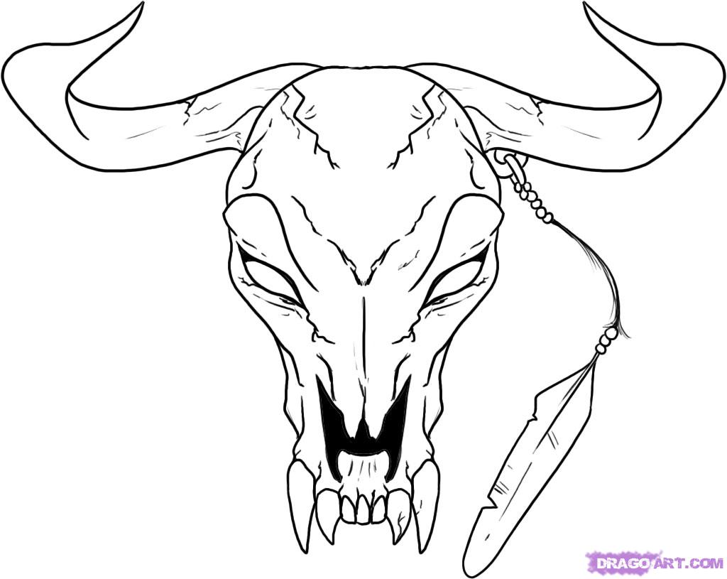1024x815 Bull Skull Tattoo Drawing Photo