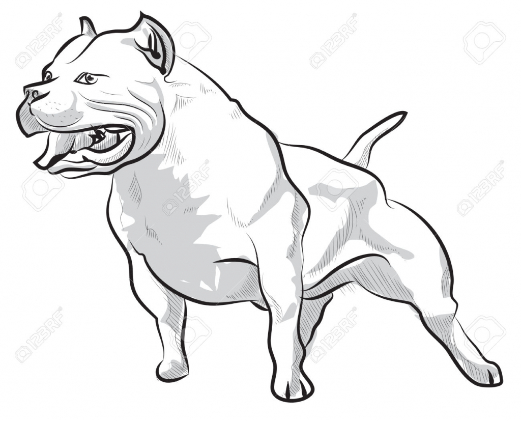 1024x829 Drawing Of A Pitbull Pit Bull Drawing