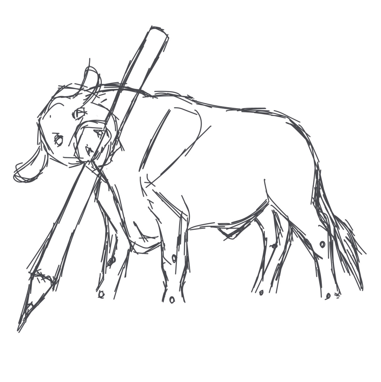 1280x1281 Sketch A Bull