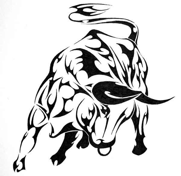 600x584 Bull By 13out
