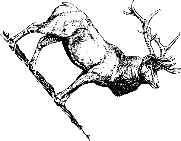 600x467 Elk Head Clip Art
