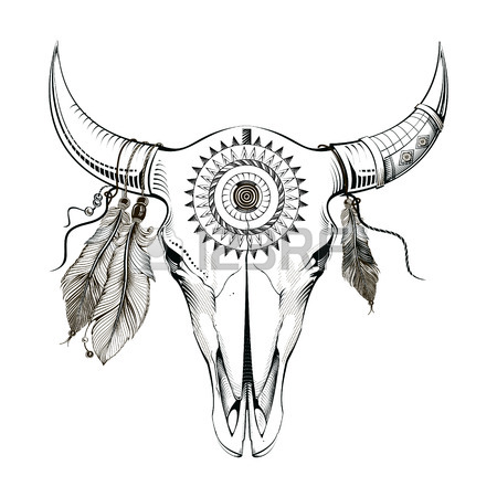 450x450 Bull Skull Stock Photos. Royalty Free Business Images