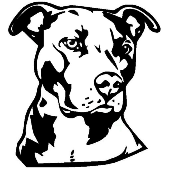 640x640 1415.2cm Pit Bull Face Vinyl Decal Car Styling Animal Decoration