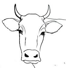 220x229 Image Result For Step By Step Cow Drawing Face My Cow