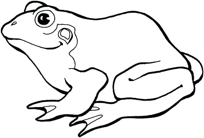 700x474 Coloring Page Frog Frogs Coloring Pages Frog Coloring Pages New