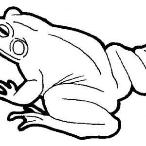 300x300 Find The Best Coloring Pages Resources Here!