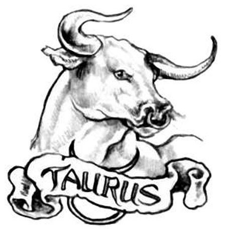 450x462 Collection Of Taurus Bull Tattoo Sketch
