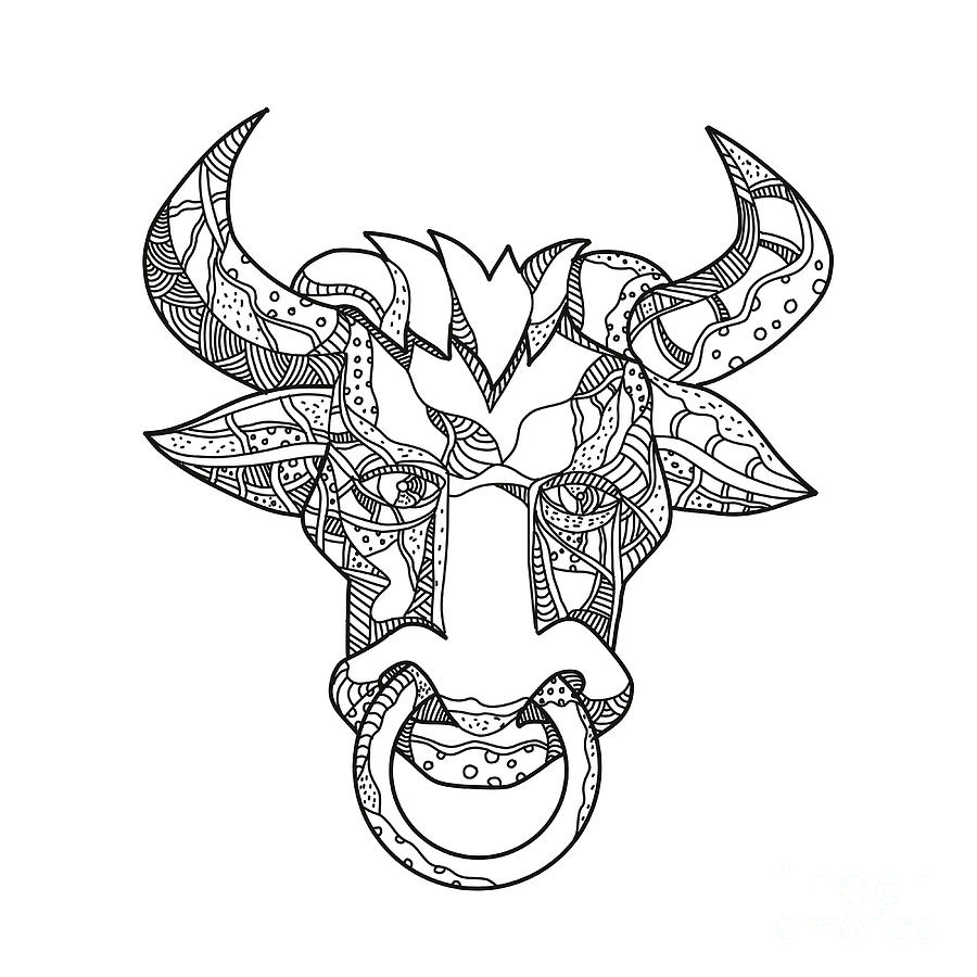 900x900 Pinzgauer Bull Head Front Doodle Art Digital Art By Aloysius