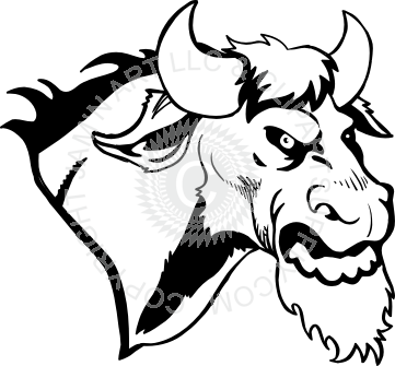 361x335 Bull Head Image