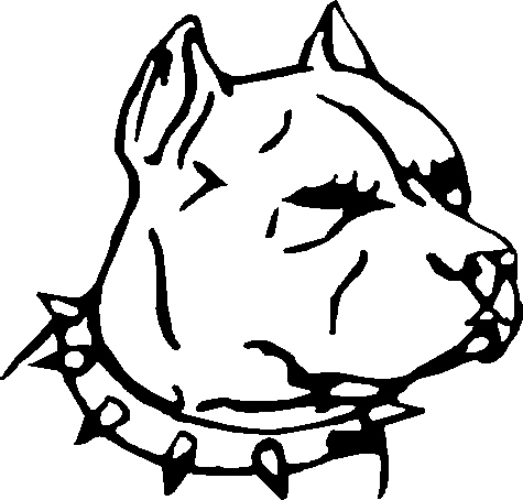 475x454 Pit Bull Head, 94rbd,