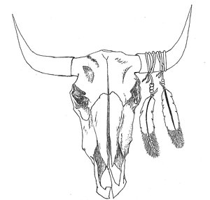 300x286 Bull Horns Drawings