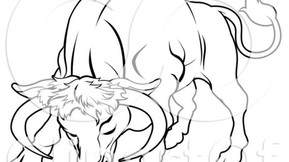 570x320 Drawings Bulls Clipart A Black And White Line Drawing