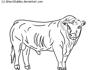 360x270 Hereford Bull 2 Line Art By Ahernstables