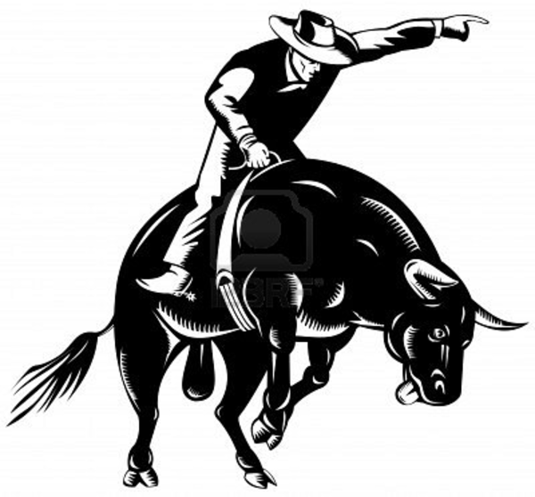 600x558 Bull Riding Free Images