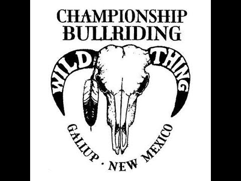 480x360 Wildthing Championship Bull Riding (Saturday Night)
