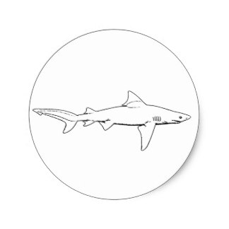 324x324 Bull Shark Gifts On Zazzle