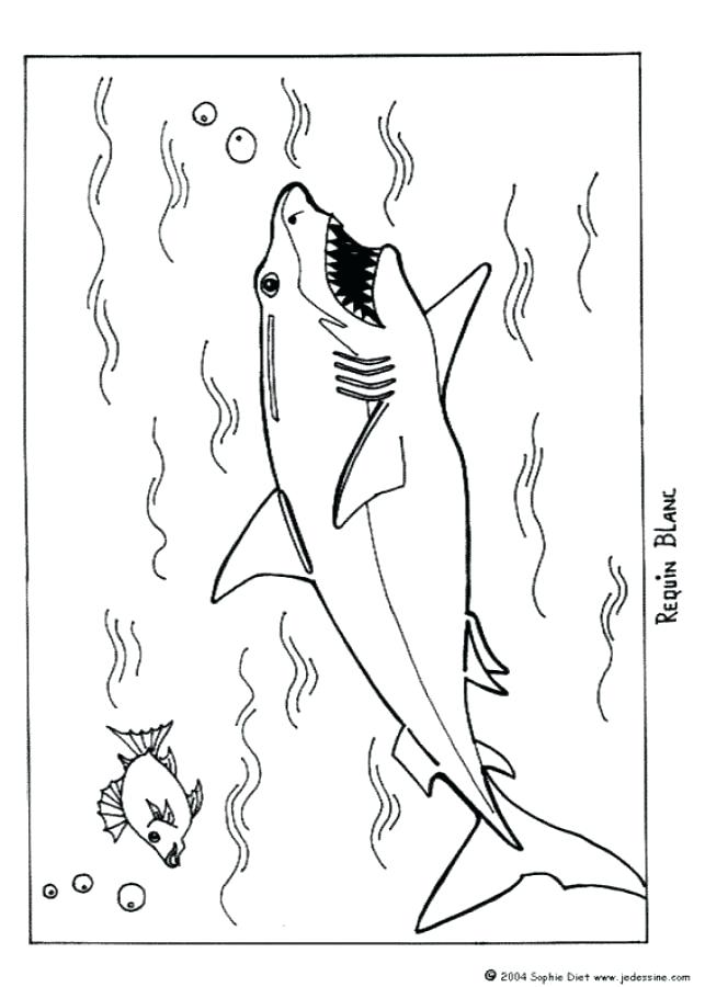 643x900 Shark Coloring Pages Printable Great White Shark Coloring Pages