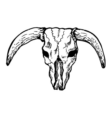 380x400 19 Cow Skull Vector Images