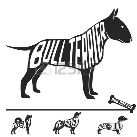 450x450 Bull Terrier Stock Photos. Royalty Free Business Images