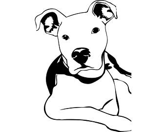 340x270 Pit Bull Drawing Etsy