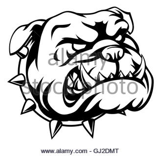 329x320 Cartoon Bulldog School Mascot Stock Photo 36152615