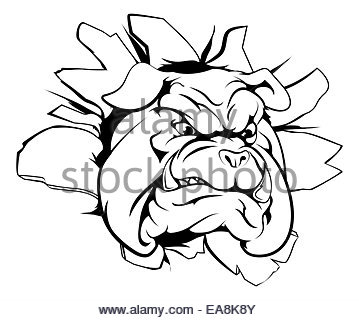 359x320 Cartoon Mean Strong Bulldog Sports Mascot Stock Photo 105585149