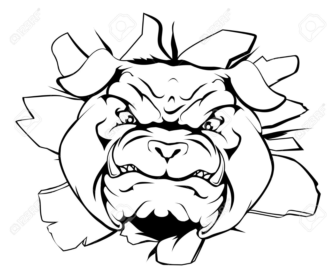 1300x1073 An Illustration Of A Cartoon Tough Bulldog Character Face Tearing