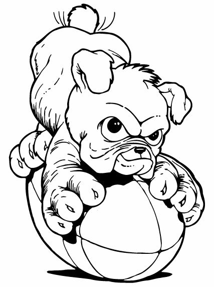 427x571 Football Bulldog Drawing Bulldog 29baby Bulldogsmart Designs