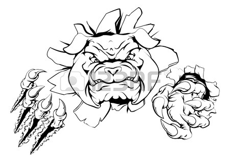 450x318 British Bulldog Stock Photos. Royalty Free Business Images