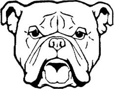 232x180 Drawn Bulldog Face