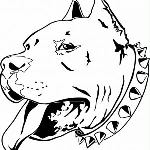 300x300 Pit Bull Drawing Adult
