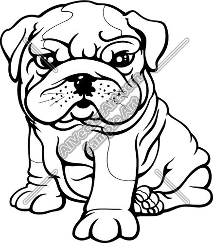 438x500 English Bulldog Clipart Drawing