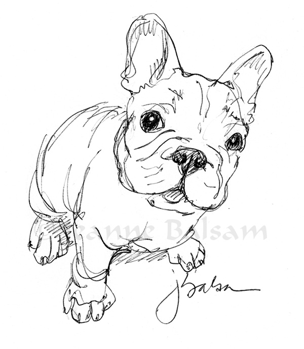 600x689 Hmmmm A Little Curious Maybe Doubtful Pen And Ink Sketch By