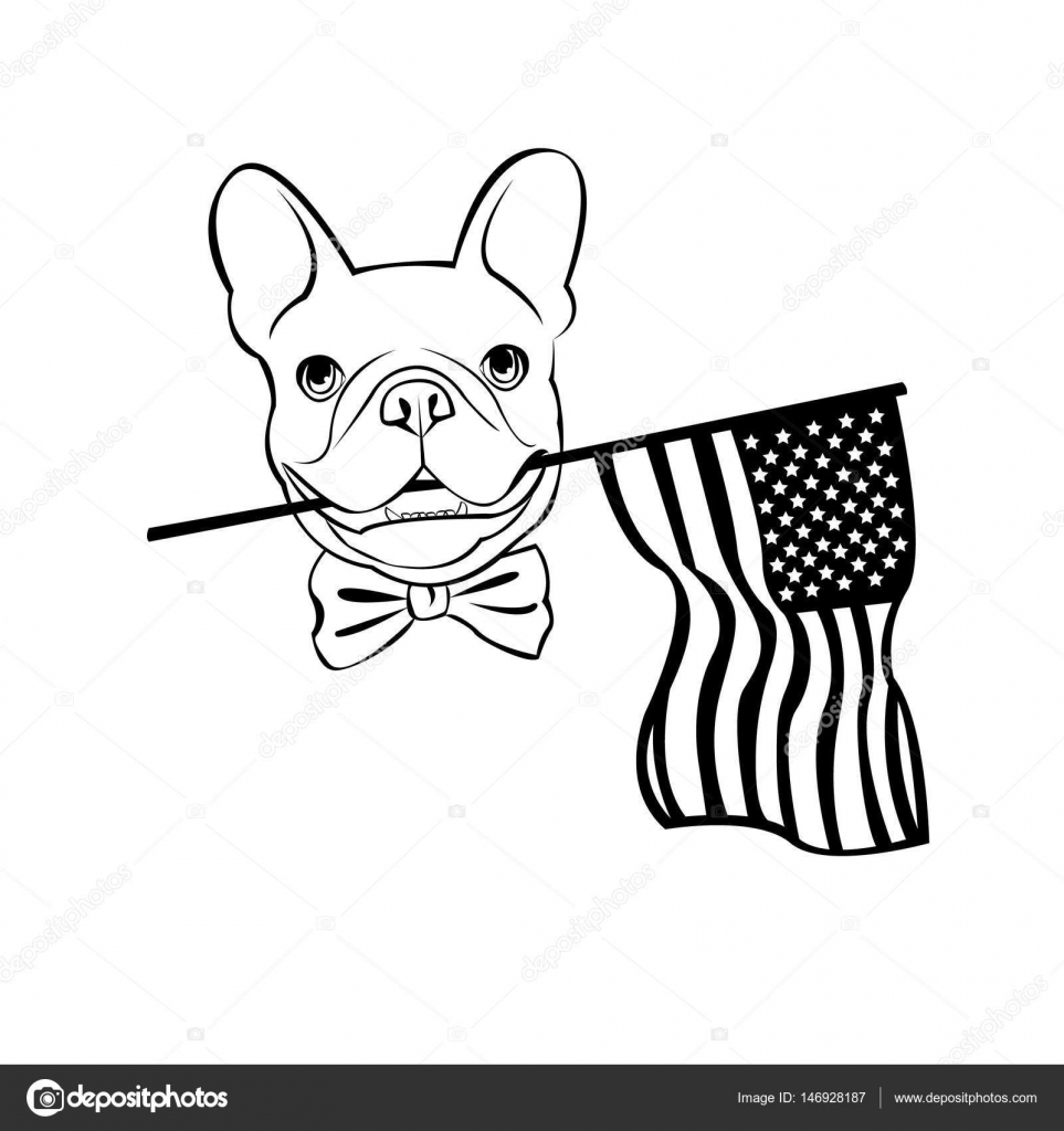 963x1024 Bulldog, Dog, Animal, French, Vector, Illustration, Pet, Breed