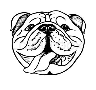 320x300 Vector Sketch Dog English Bulldog Breed Stock Vector Colourbox