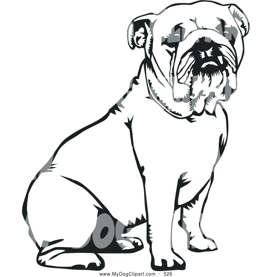 878x895 Drawn Bulldog Georgia Bulldogs 3271751