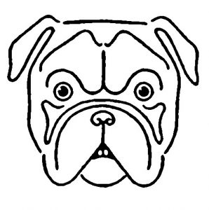 298x300 Cute Bulldog Drawingkindofpets Kindofpets