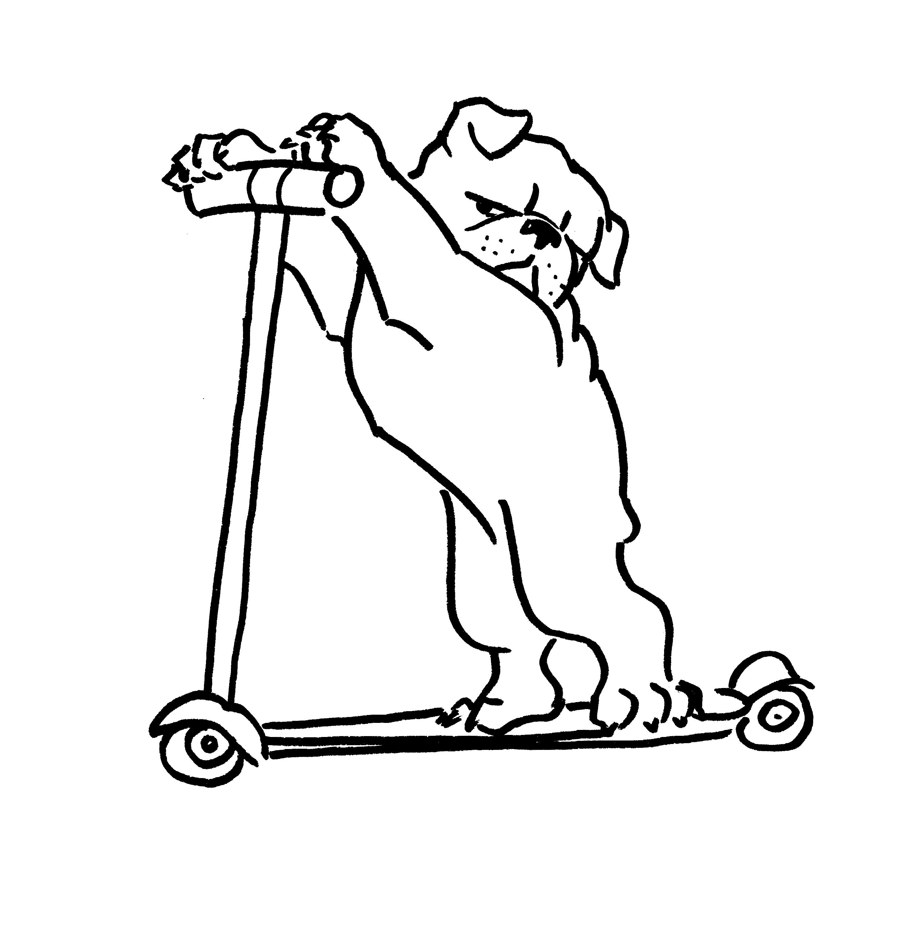 3084x3204 Dr. Bulldog On A Skateboard